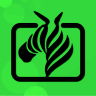 安卓斑马视频v5.7.1绿化版