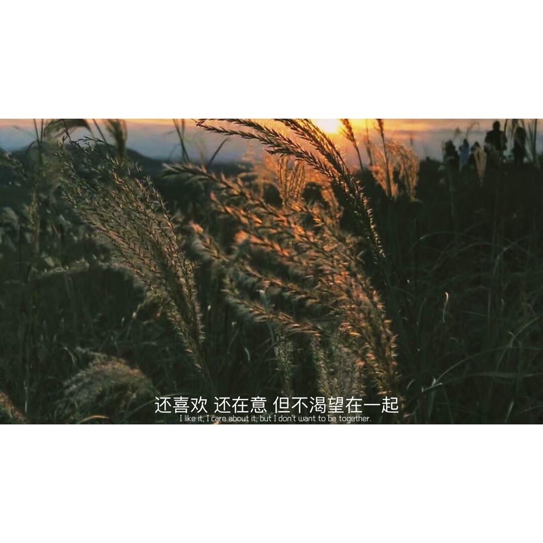 「歌曲分享：曲江池畔」