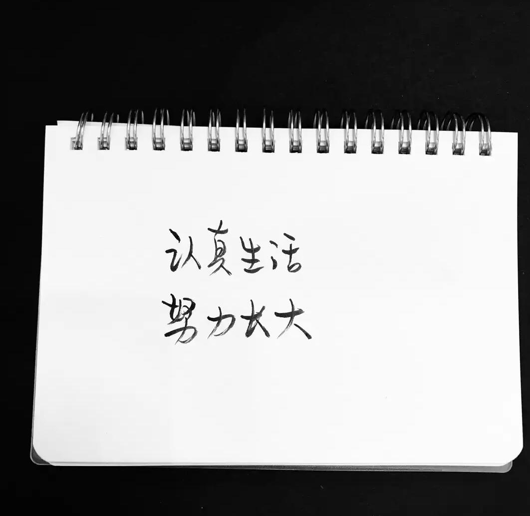 「歌曲分享：手一挥」